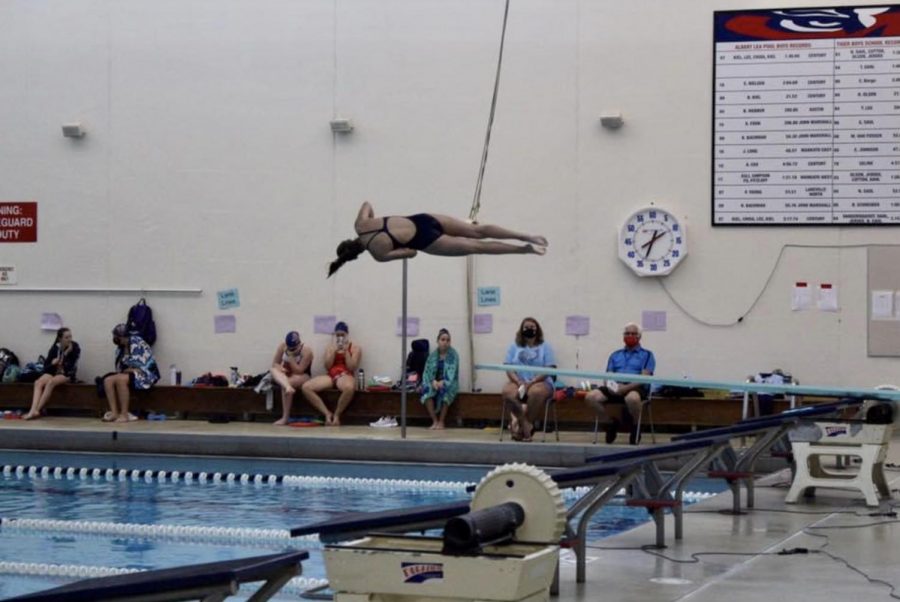 Junior Jenna Steffl performs a back somersault with one and a half twists at a diving meet. Steffl finished the regular season with a record of 8-0 and has already set high goals for her senior season. "I hope to get better, bigger dives in general, with more difficulty, and also perfecting my form more, in the air and on my entries," she said. 
