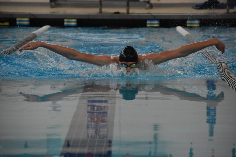 Eighth-grader Brent Dahl swims the 100 meter butterfly.  