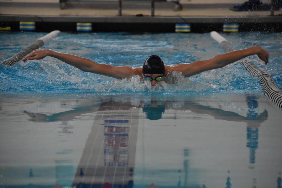 Eighth-grader+Brent+Dahl+swims+the+100+meter+butterfly.++