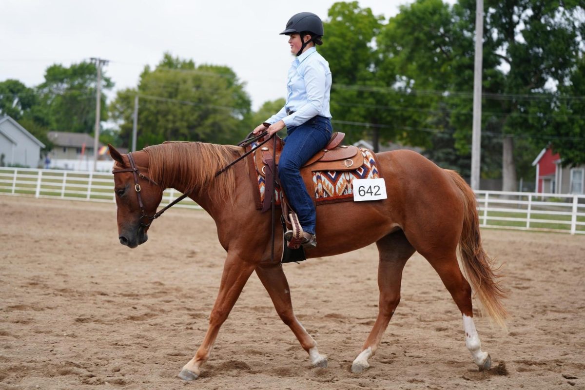 Clara Thompson, junior, riding a horse