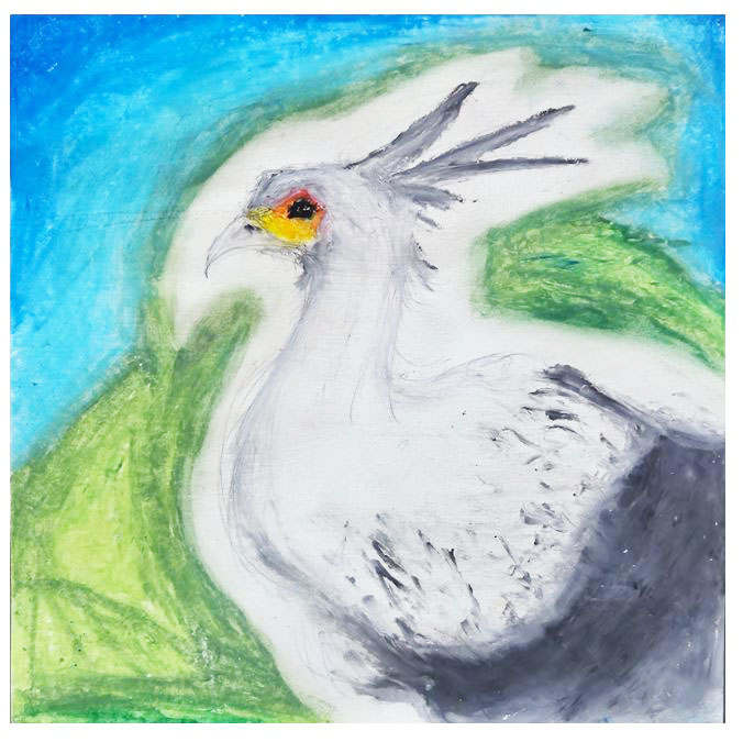 Given Saw's drawing of a Bird