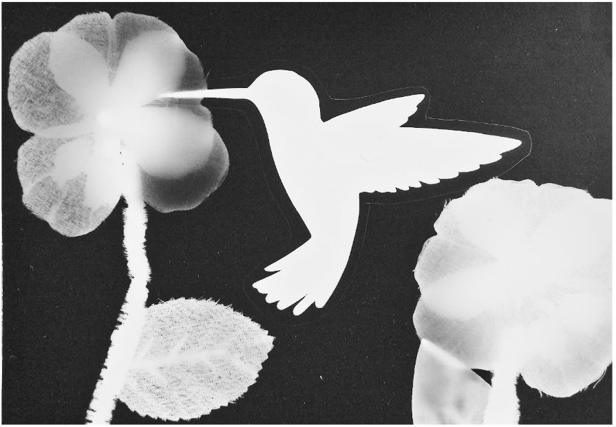 Senior Carly Stevens calls this art piece "The Hummingbird." Her grandmother inspired her to make this since she loves hummingbirds. "Once completing it I was glad I was able to make something that looked good,"  said Stevens "It was a bit of a struggle to make because I had to make sure everything was in the right spot."