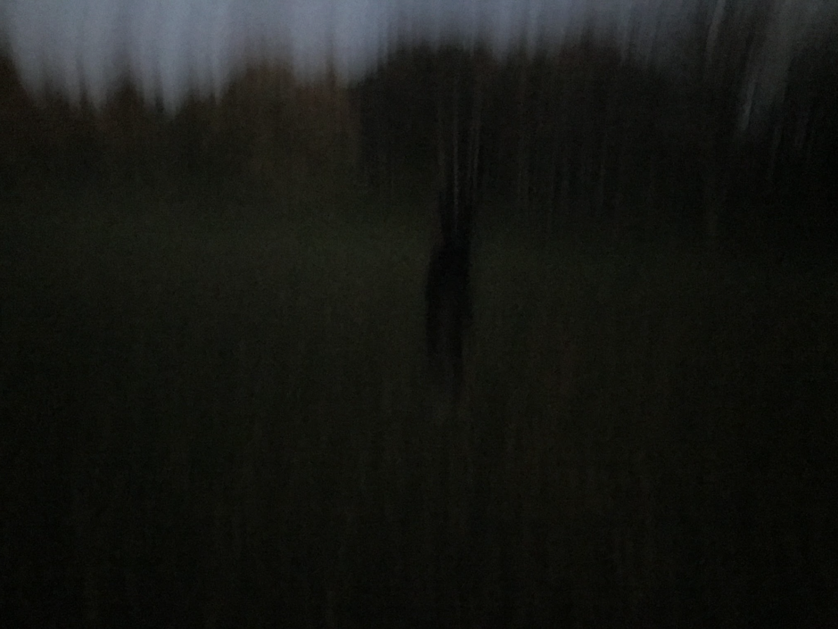“This [photo] is basically the same area,” said science teacher Todd Mikkelsen. “So that [the cover photo] was my photo at dusk. Here it is at night time and there’s something jetting up out of the ground. So it’s the same location, different dates, two different cameras picked up an anomaly in the same region.” 