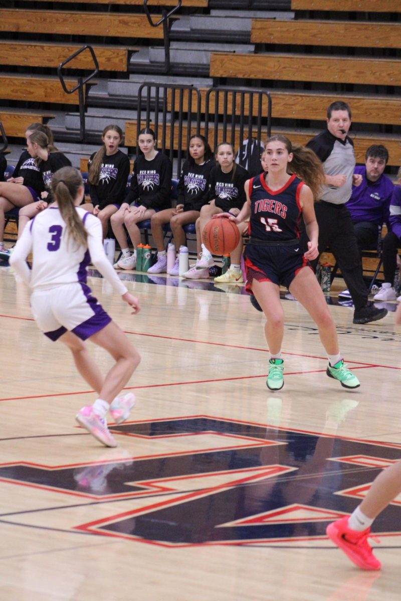 Hailee Godeke (12) playing in the girls basketball game against Red Wing on November 25th.