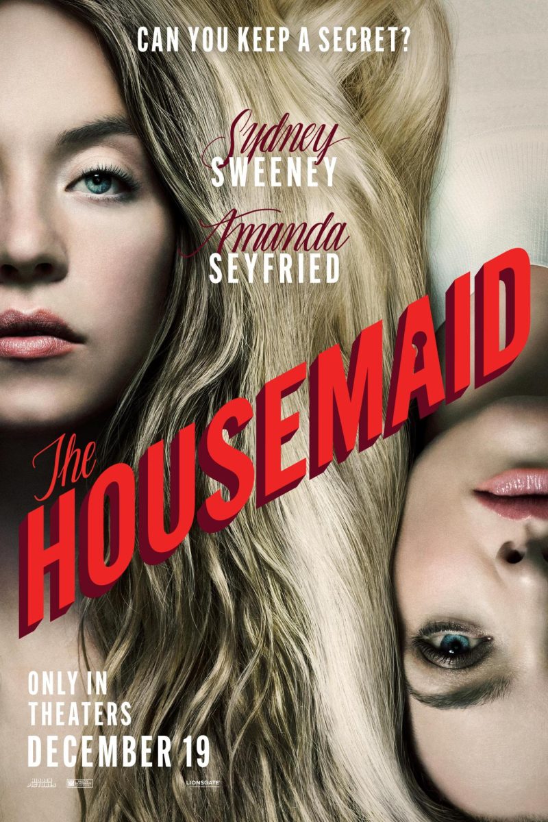 Behind the Perfect Home: The Housemaid